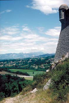 IMG0008