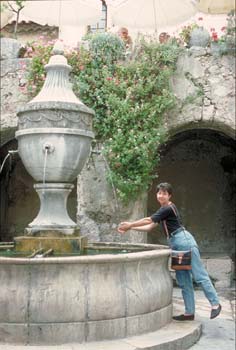 IMG0010